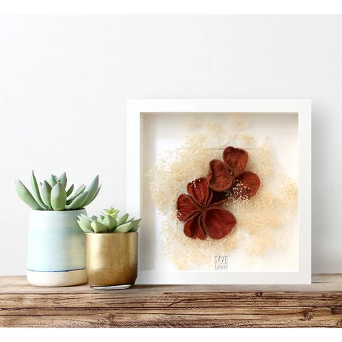 Save The Flowers - Exotic Shells Frame