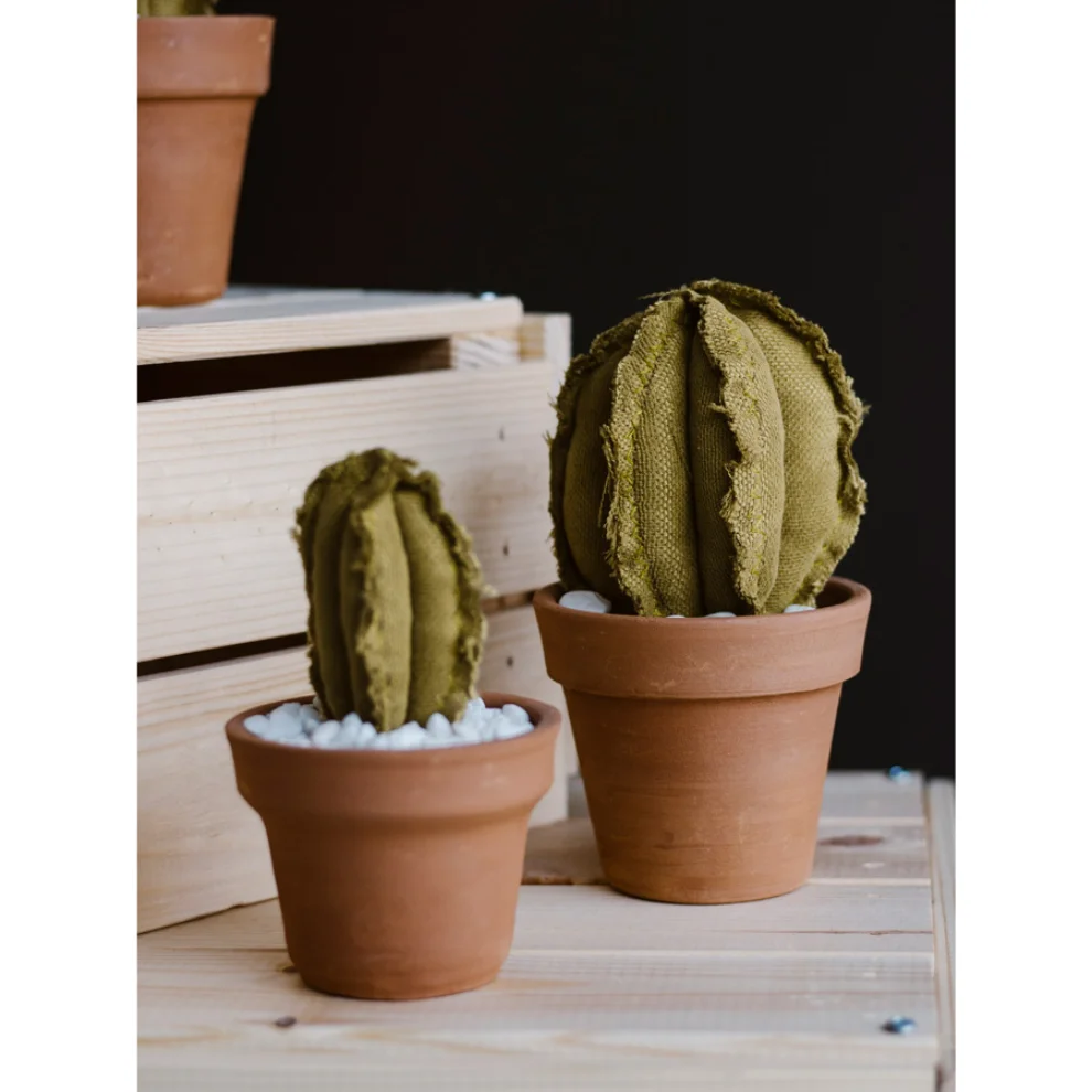 Dezirt - Medium Column Cactus Pot