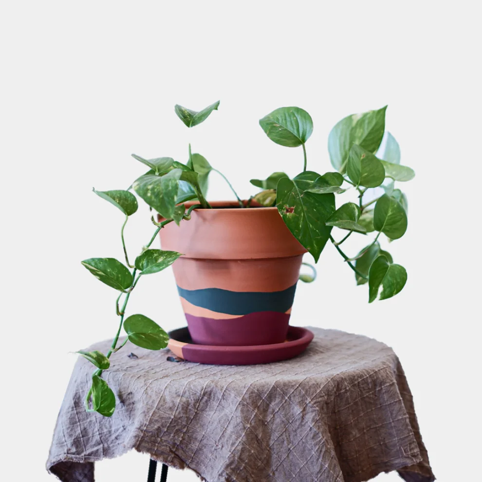 fi.dayy - Waves Terracotta Plant Pot - I